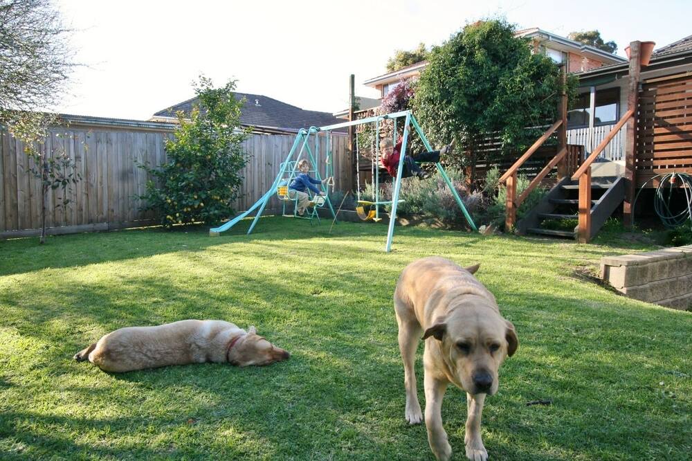 Photo of Others in Highett