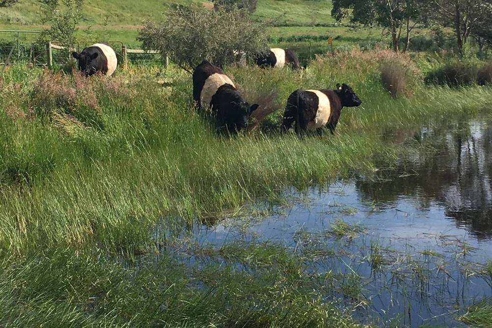 Photo of Others in Strath Creek