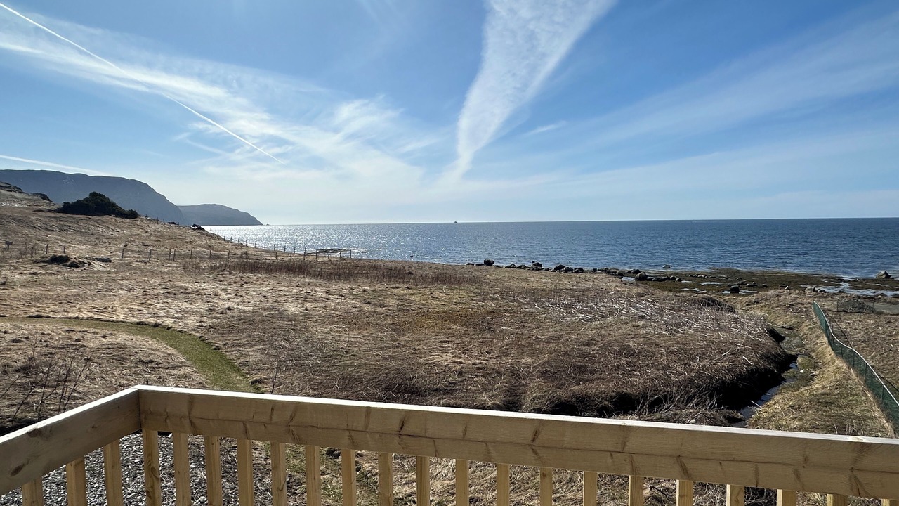 Photo of Others in Rocky Harbour