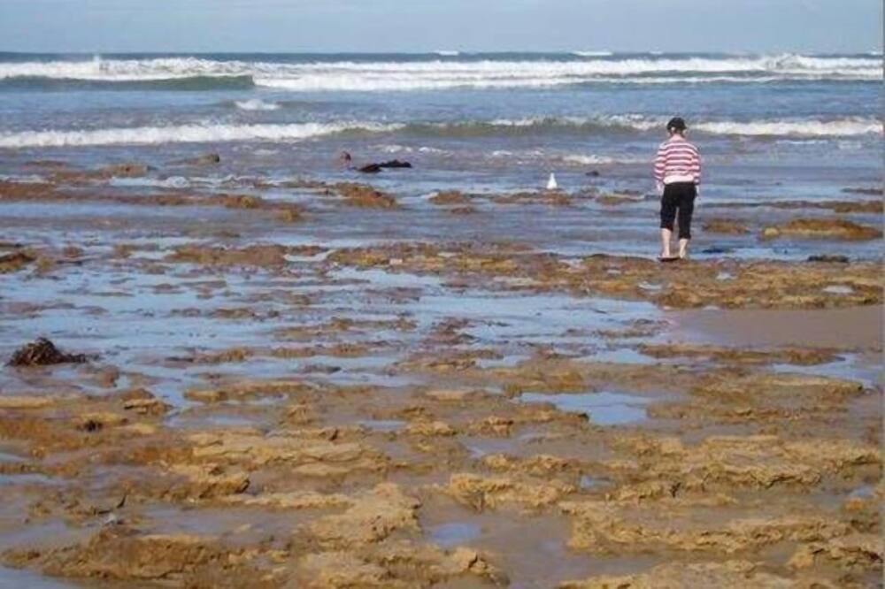 Photo of Outdoor in Ocean Grove