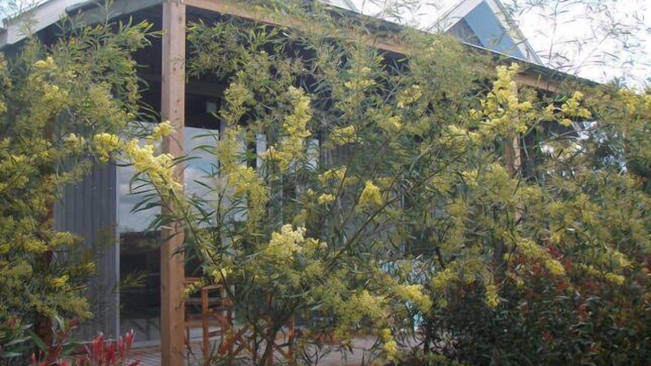 Photo of Outdoor in Castlemaine