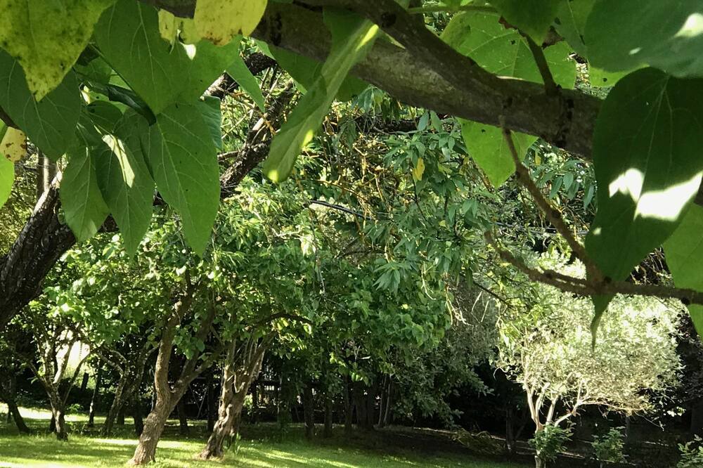 Photo of Outdoor in Talunga