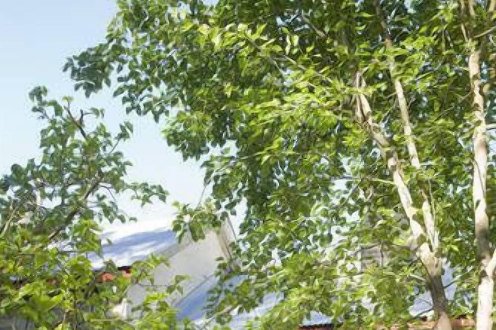 Photo of Outdoor in Talunga