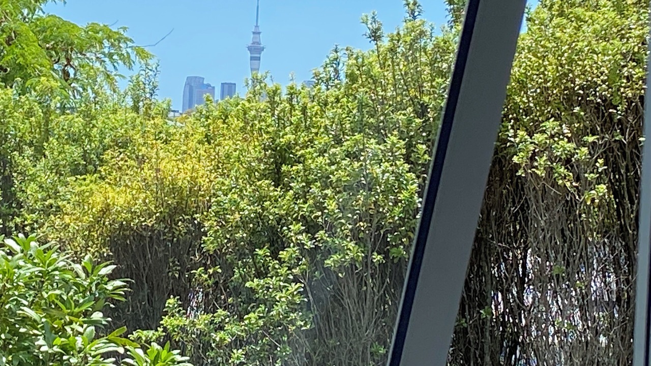 Photo of Others in Kingsland