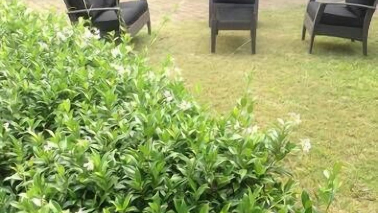 Photo of Outdoor in Cromer