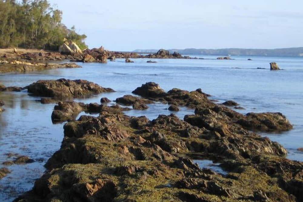 Photo of Others in Maloneys Beach