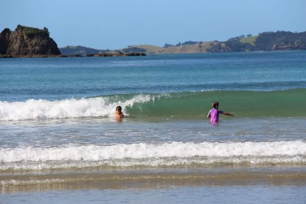 Photo of Others in Oakura