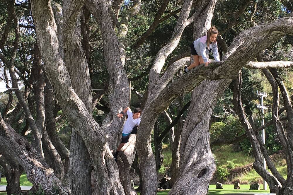 Photo of Outdoor in Oakura