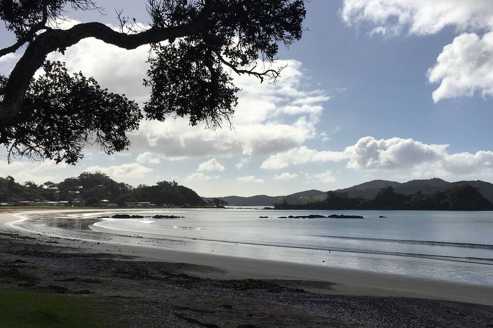 Photo of Others in Oakura