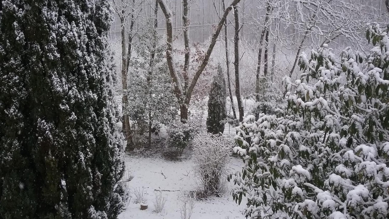 Photo of Outdoor in Cherreau