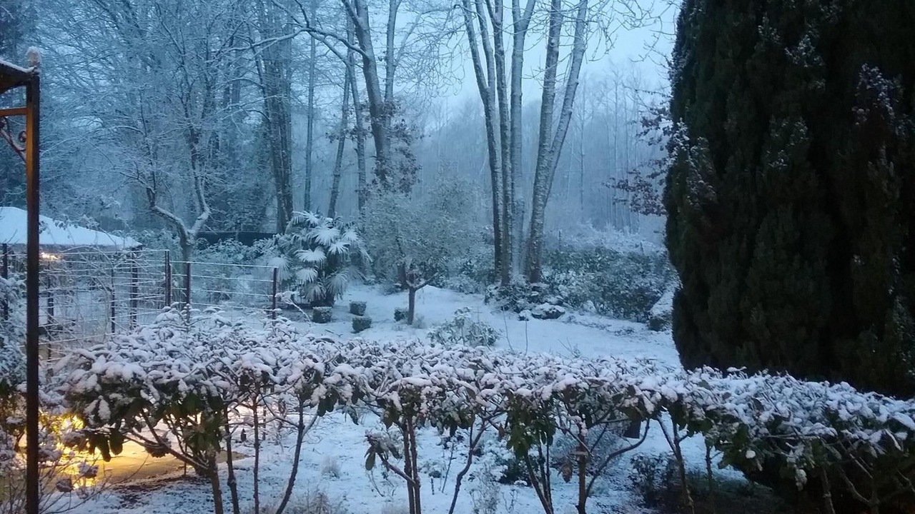 Photo of Outdoor in Cherreau