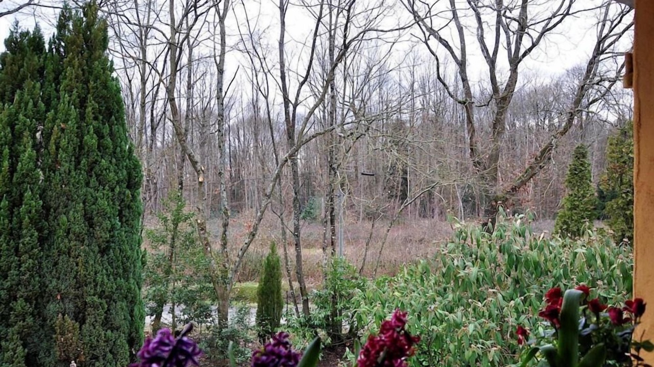 Photo of Outdoor in Cherreau