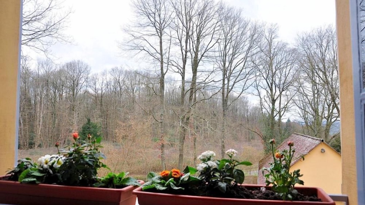 Photo of Patio Balcony in Cherreau