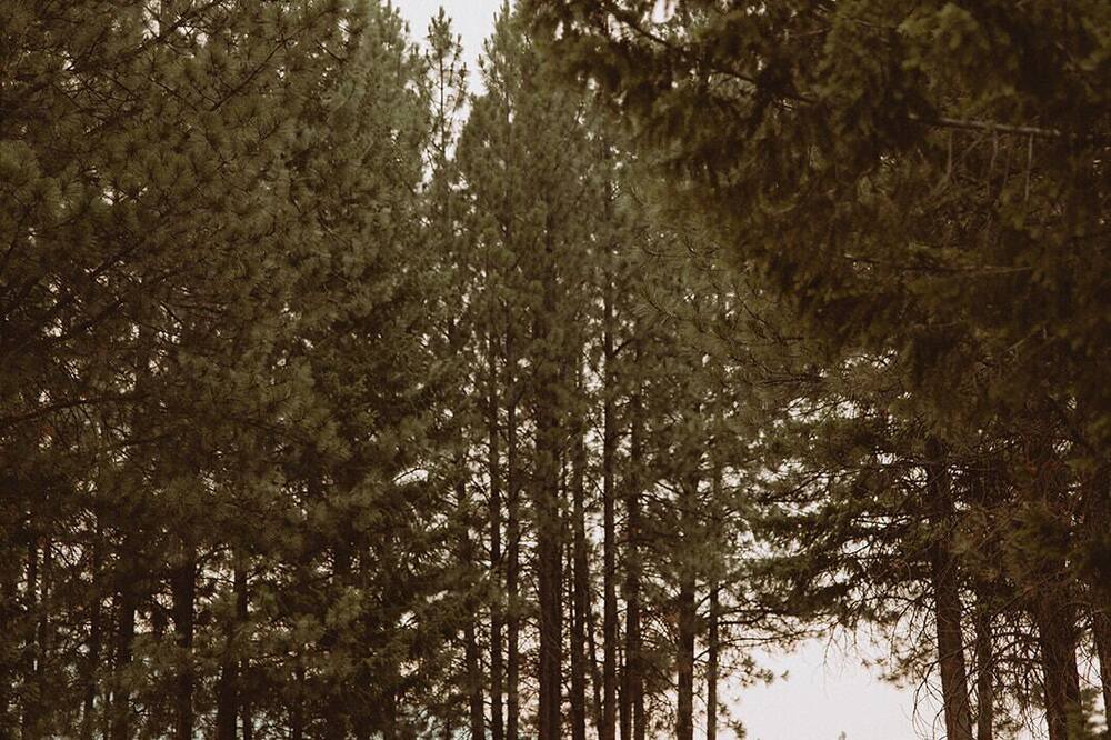 Photo of Outdoor in Alberton