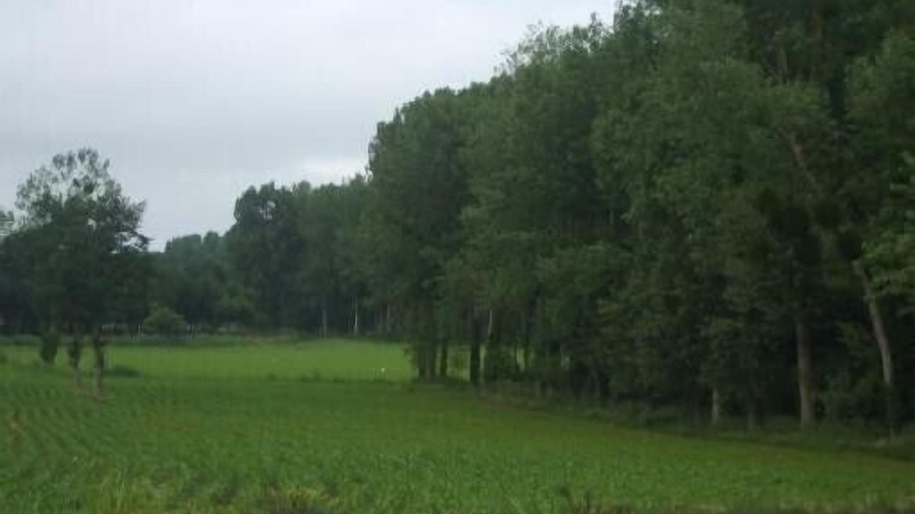 Photo of Outdoor in Roz-Landrieux