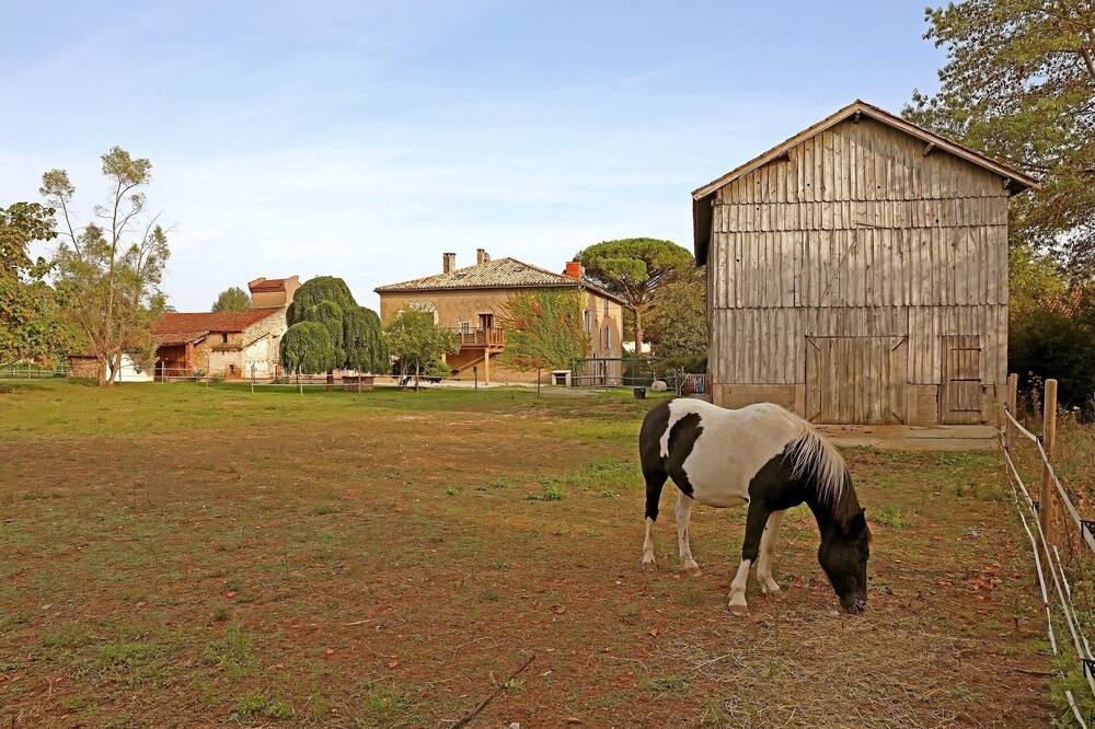 Photo of Outdoor in Albi