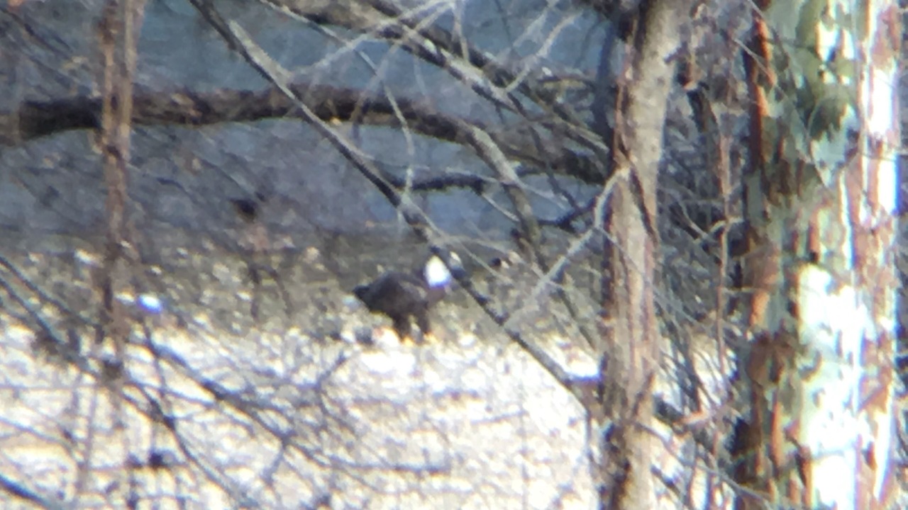 Photo of Outdoor in Scraper