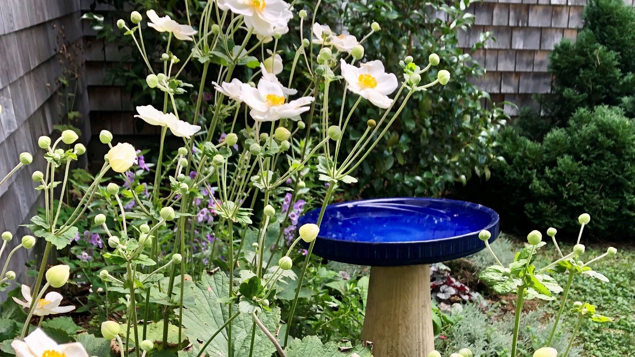 Photo of Outdoor in East Orleans