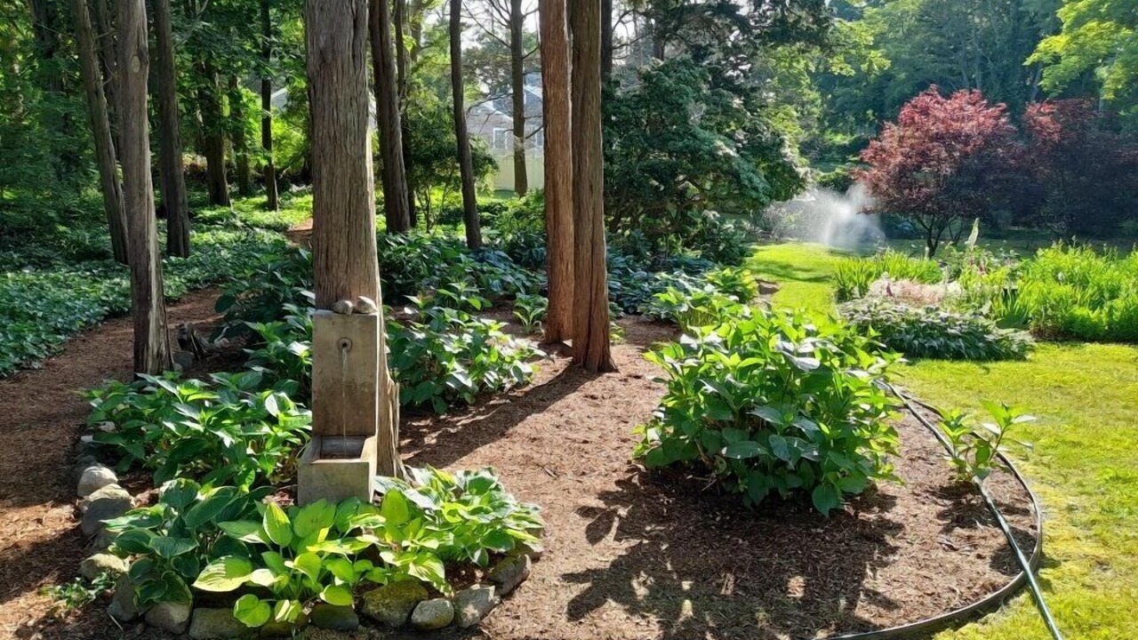 Photo of Outdoor in East Orleans