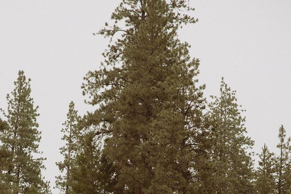 Photo of Outdoor in Alberton