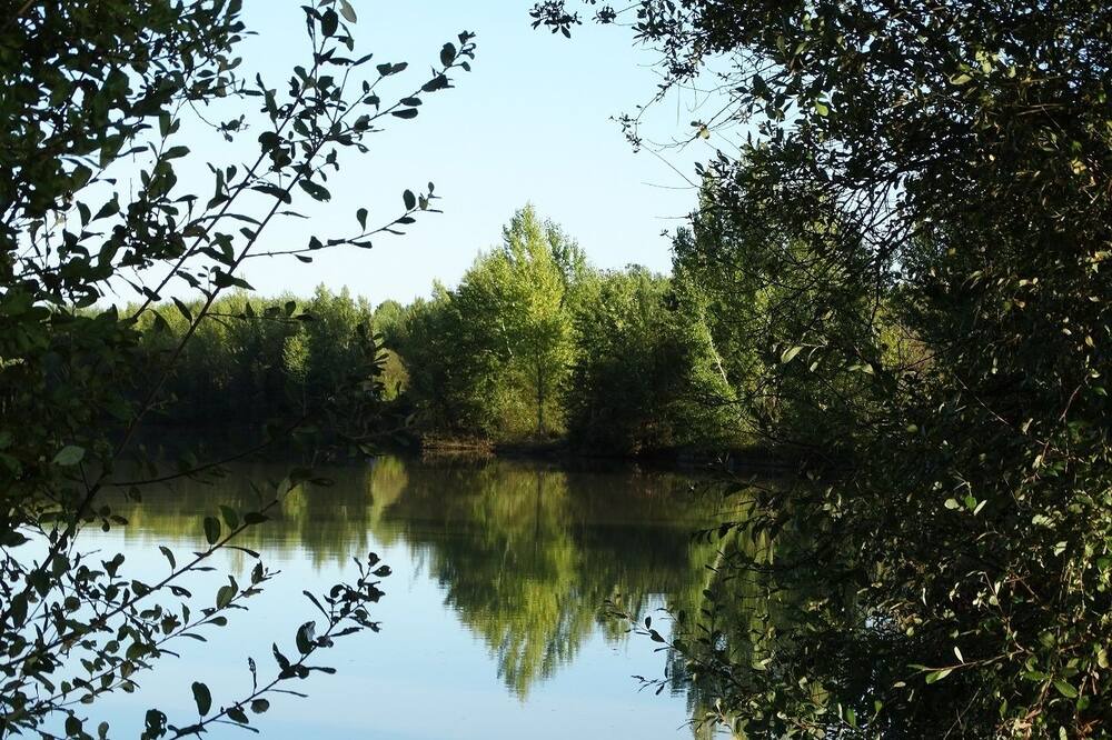Photo of Outdoor in Menesplet