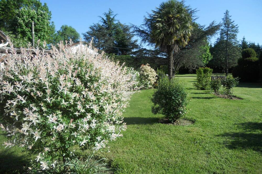 Photo of Outdoor in Menesplet