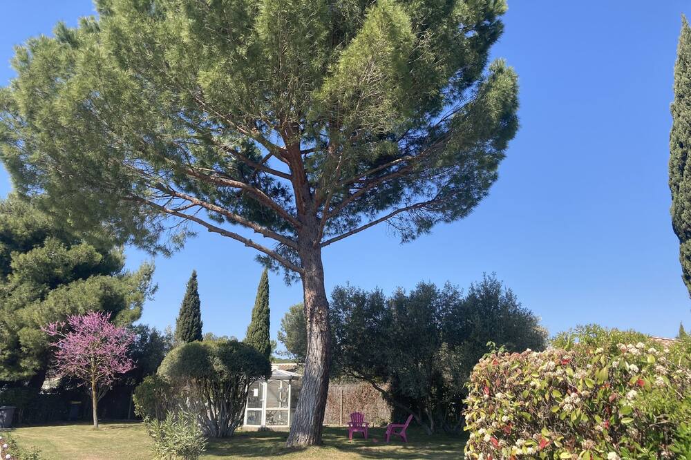 Photo of Outdoor in Villetelle