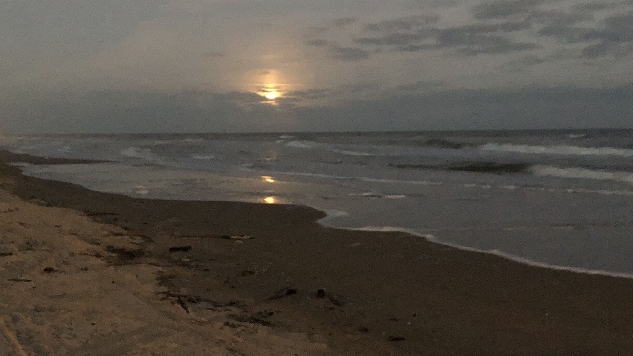 Photo of Others in Surfside Beach
