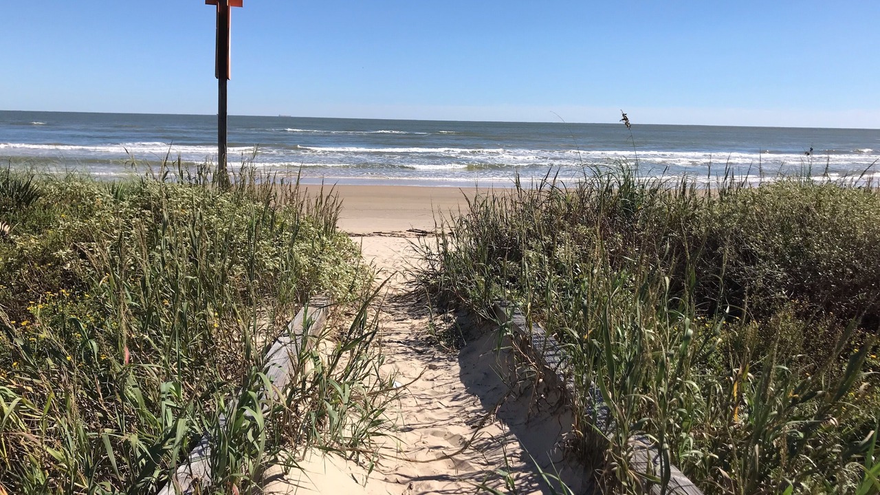 Photo of Others in Surfside Beach