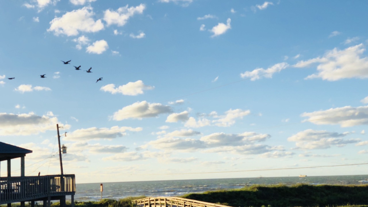 Photo of Others in Surfside Beach