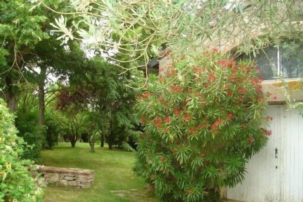 Photo of Outdoor in Monestrol