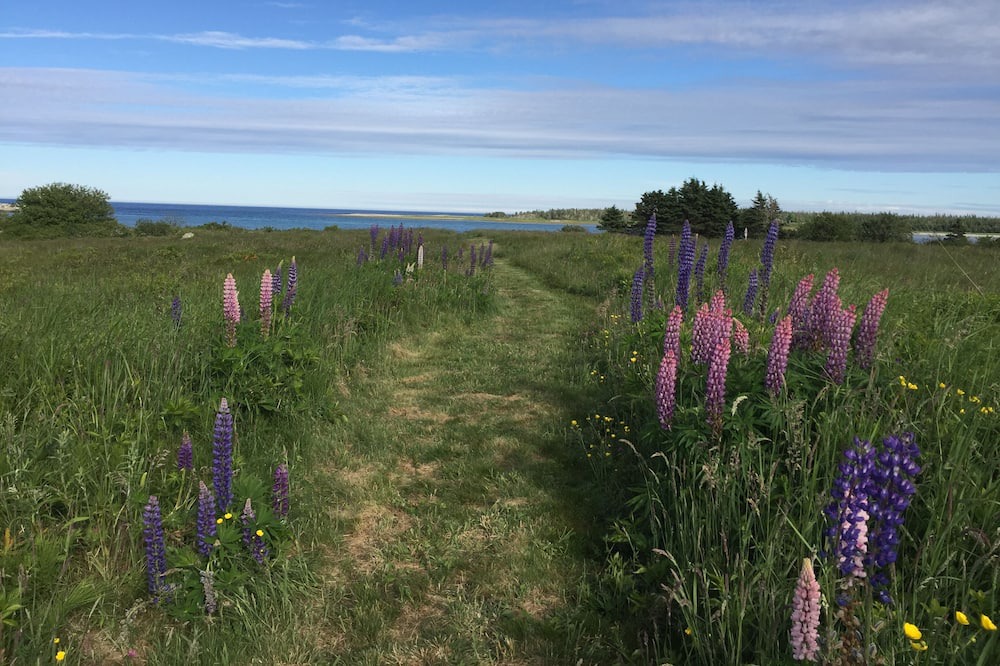 Photo of Others in Ragged Island