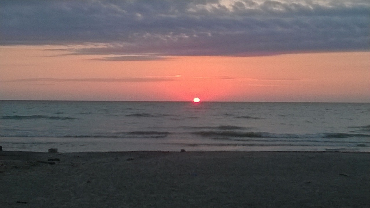 Photo of Others in Lake Erie Beach