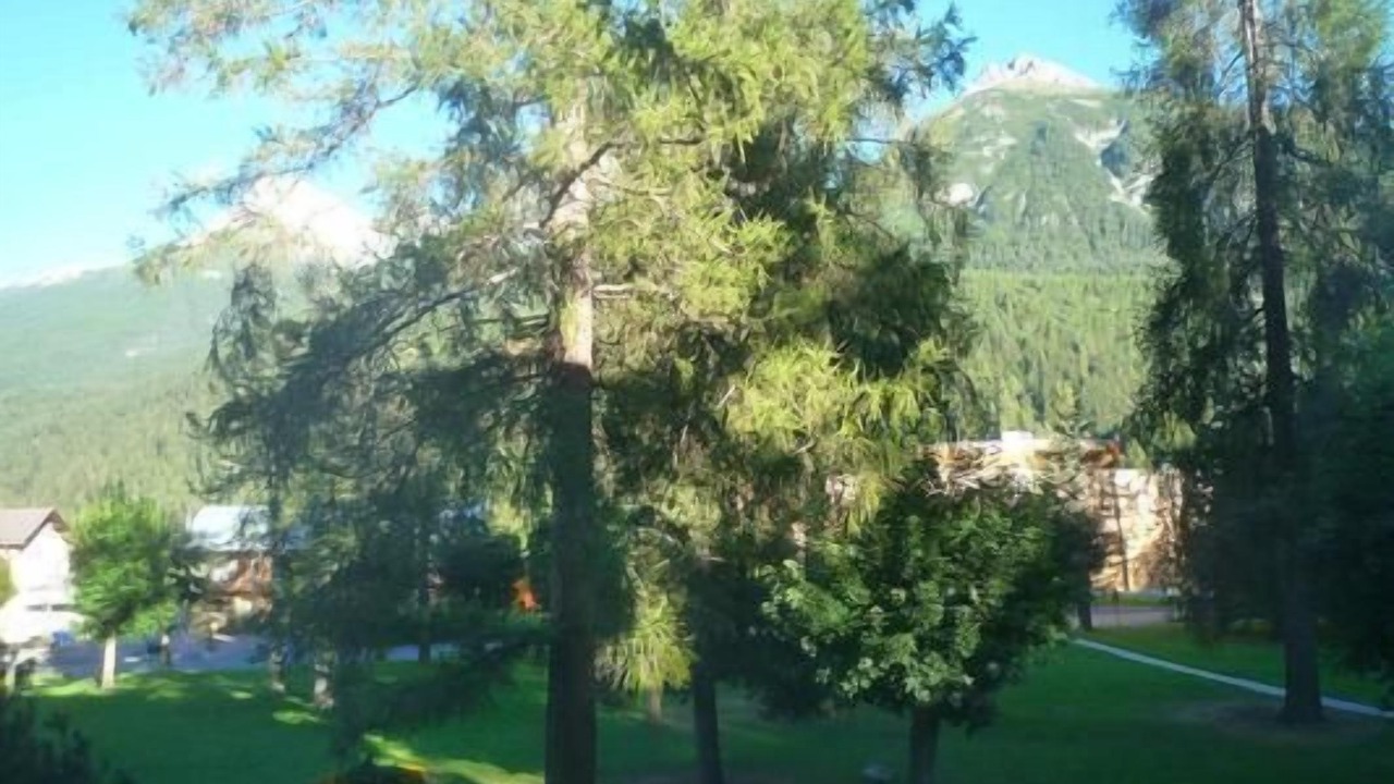 Photo of Others in Engadin Scoul