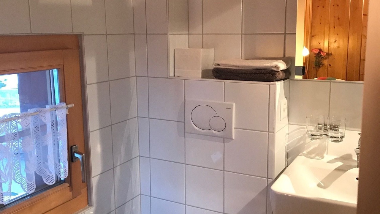 Photo of Bathroom in Nendaz