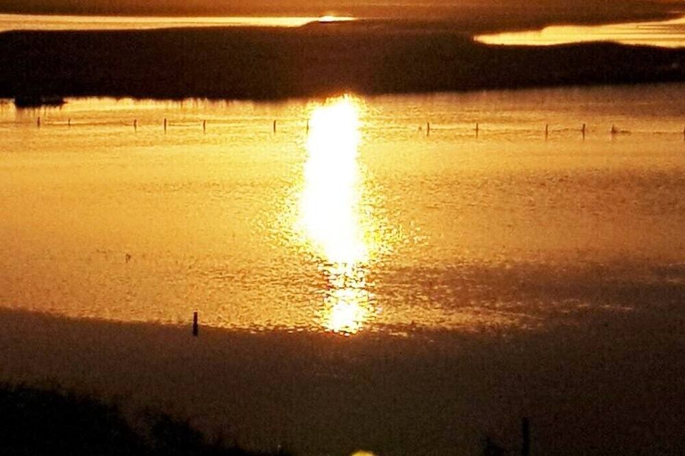 Photo of Others in Warrnambool