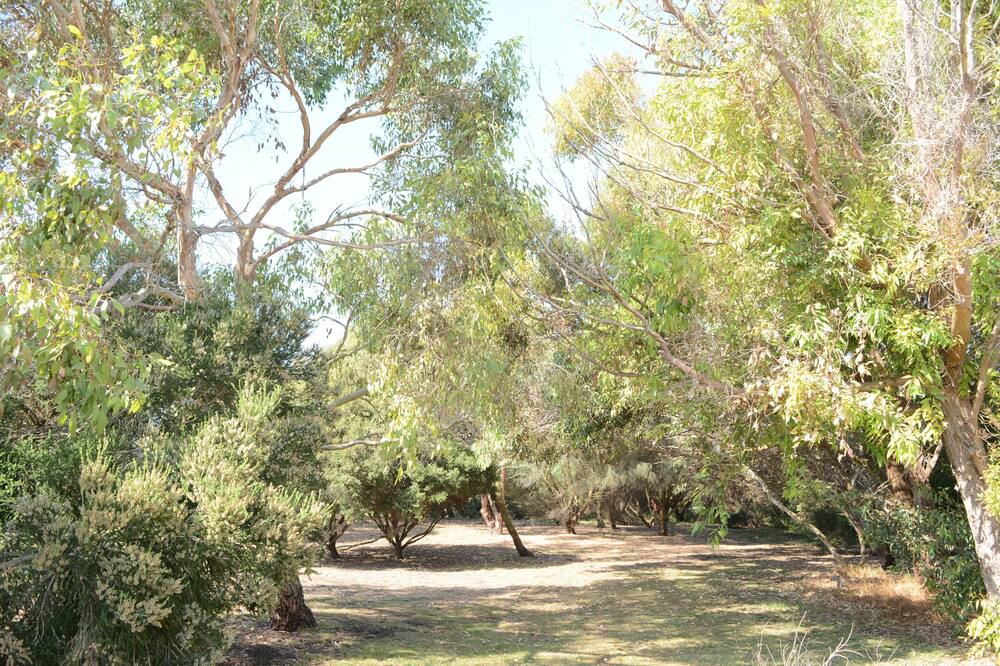 Photo of Outdoor in Warrnambool