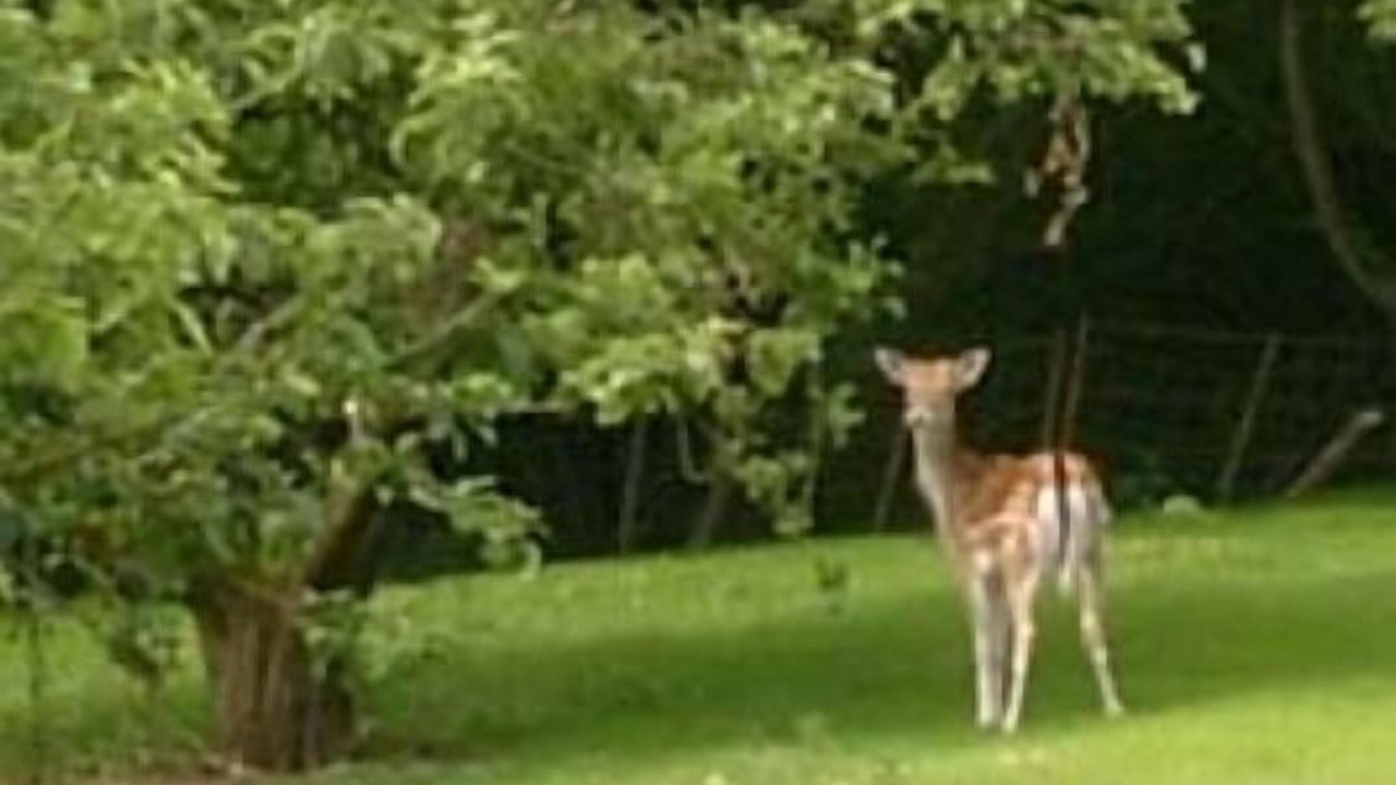 Photo of Others in Chiddingstone Hoath