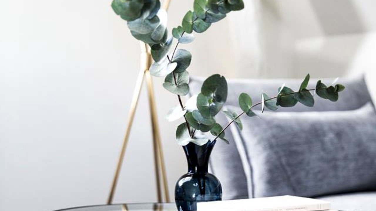 Photo of Bedroom in Epernay