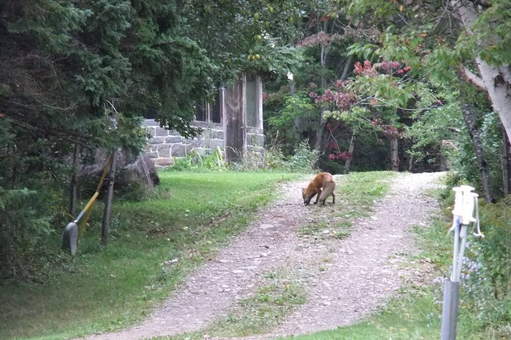 Photo of Others in Indian Brook