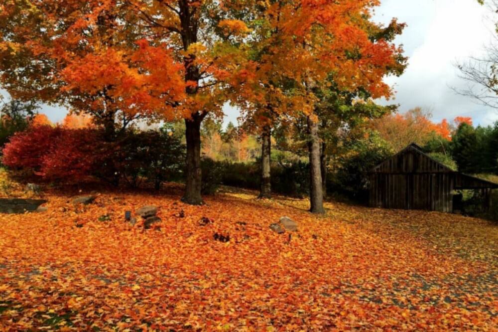 Photo of Others in Chatham