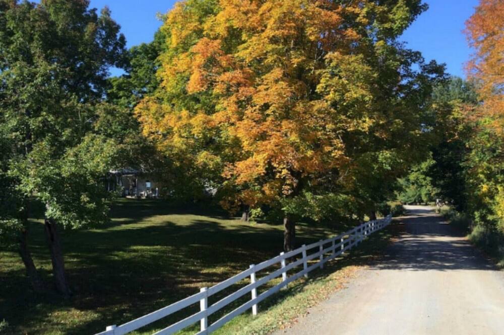 Photo of Others in Chatham