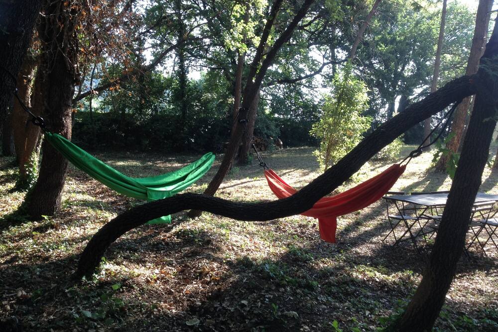 Photo of Outdoor in Le Val