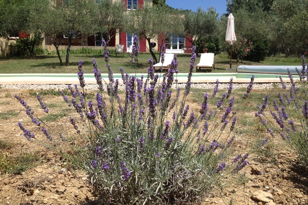 Photo of Outdoor in Le Val