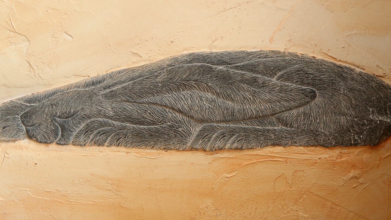 Photo of Others in Penrith