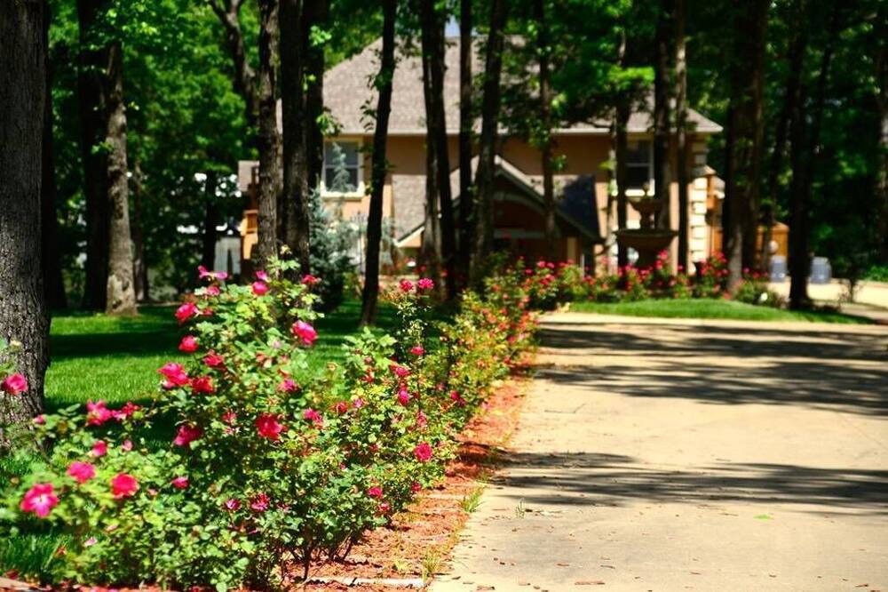 Photo of Outdoor in Eucha