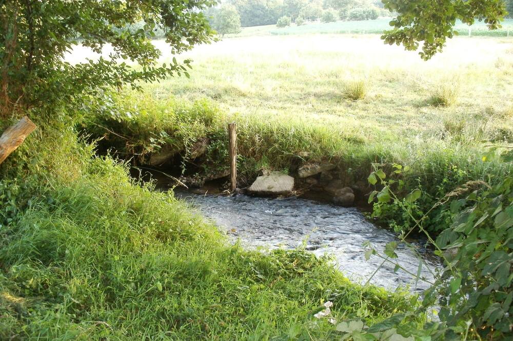 Photo of Outdoor in Fontenay