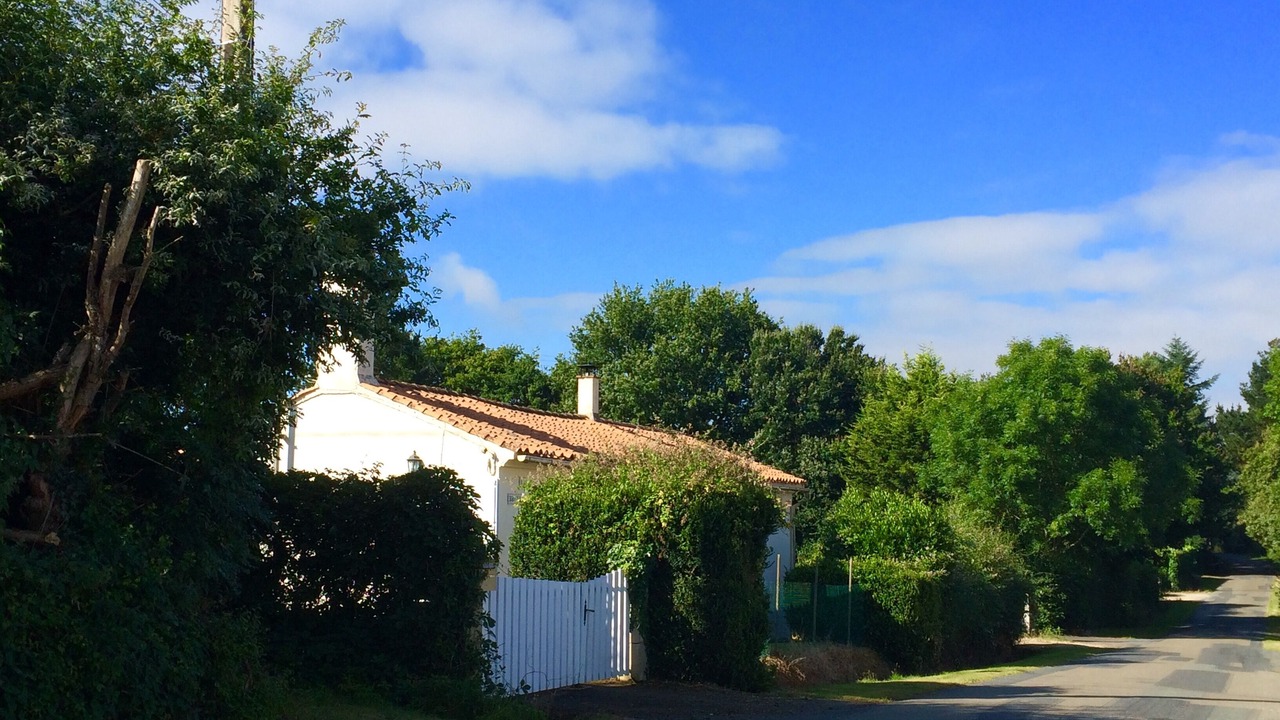 Photo of Outdoor in Martinet
