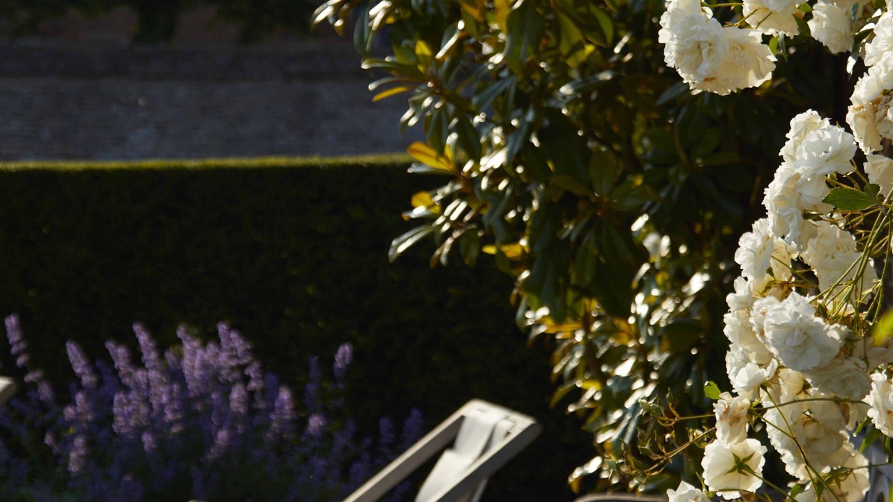 Photo of Outdoor in Doudeville