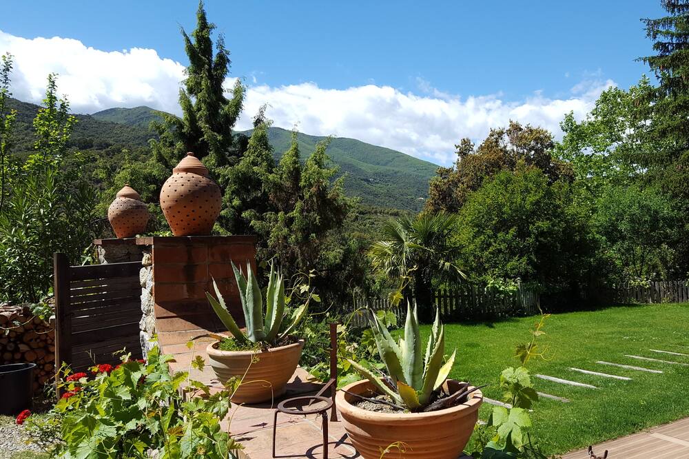 Photo of Outdoor in Reynes